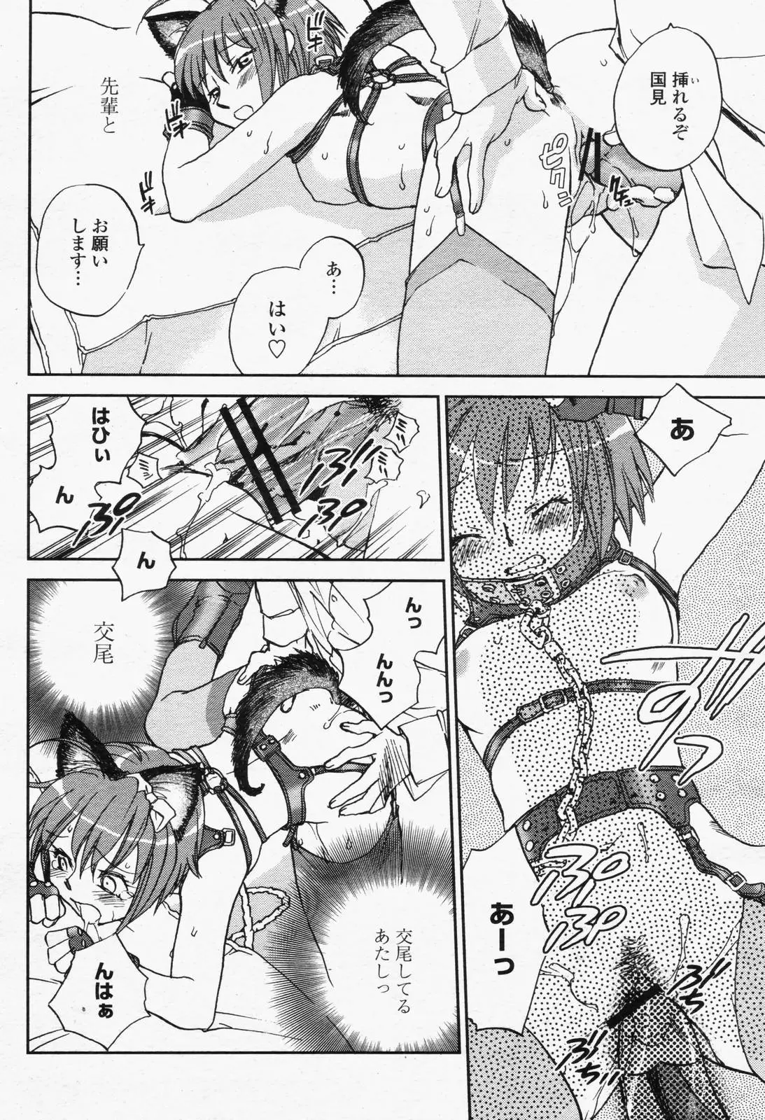 Page 264