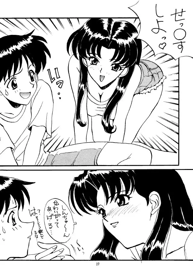 Page 27
