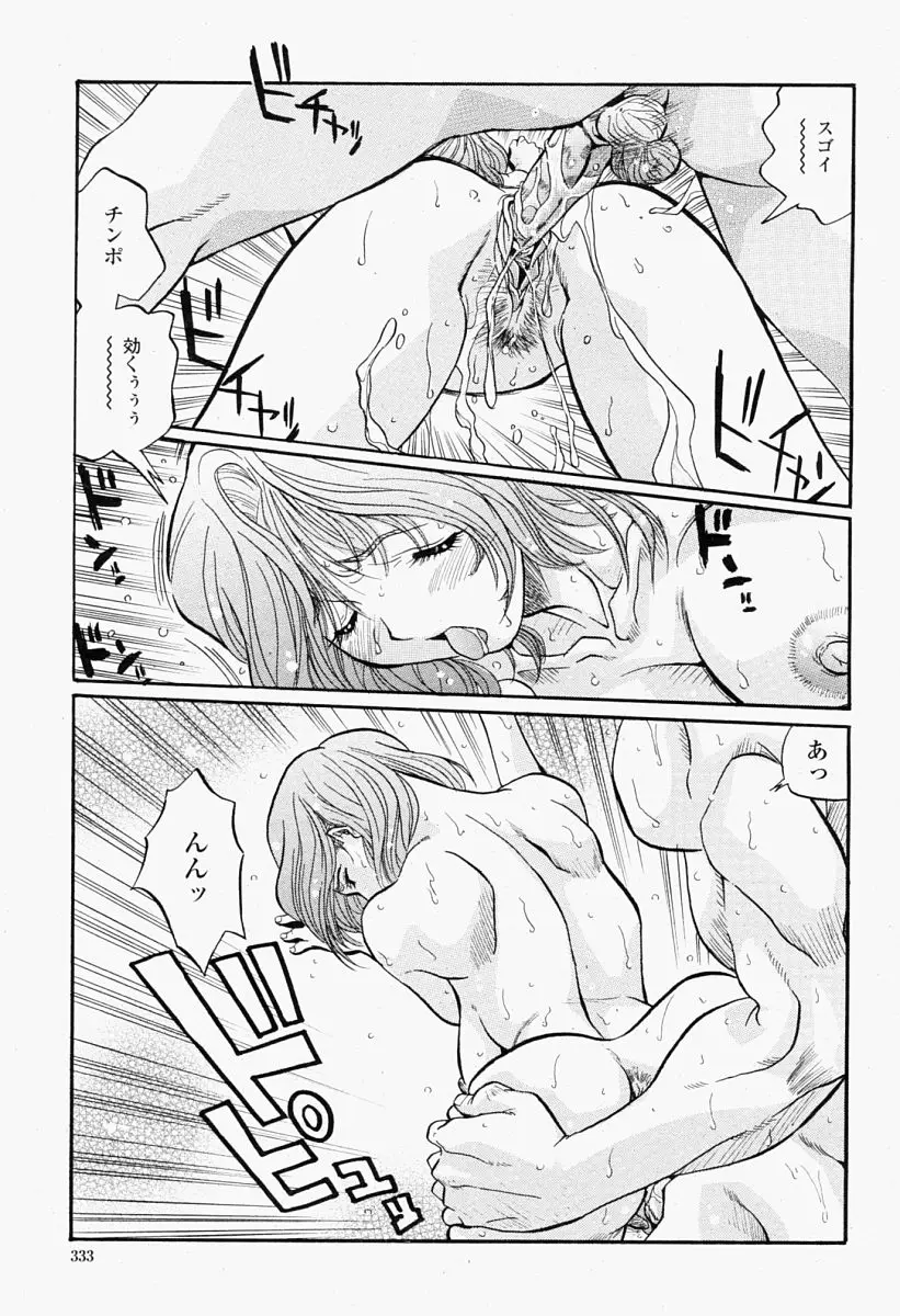 Page 333