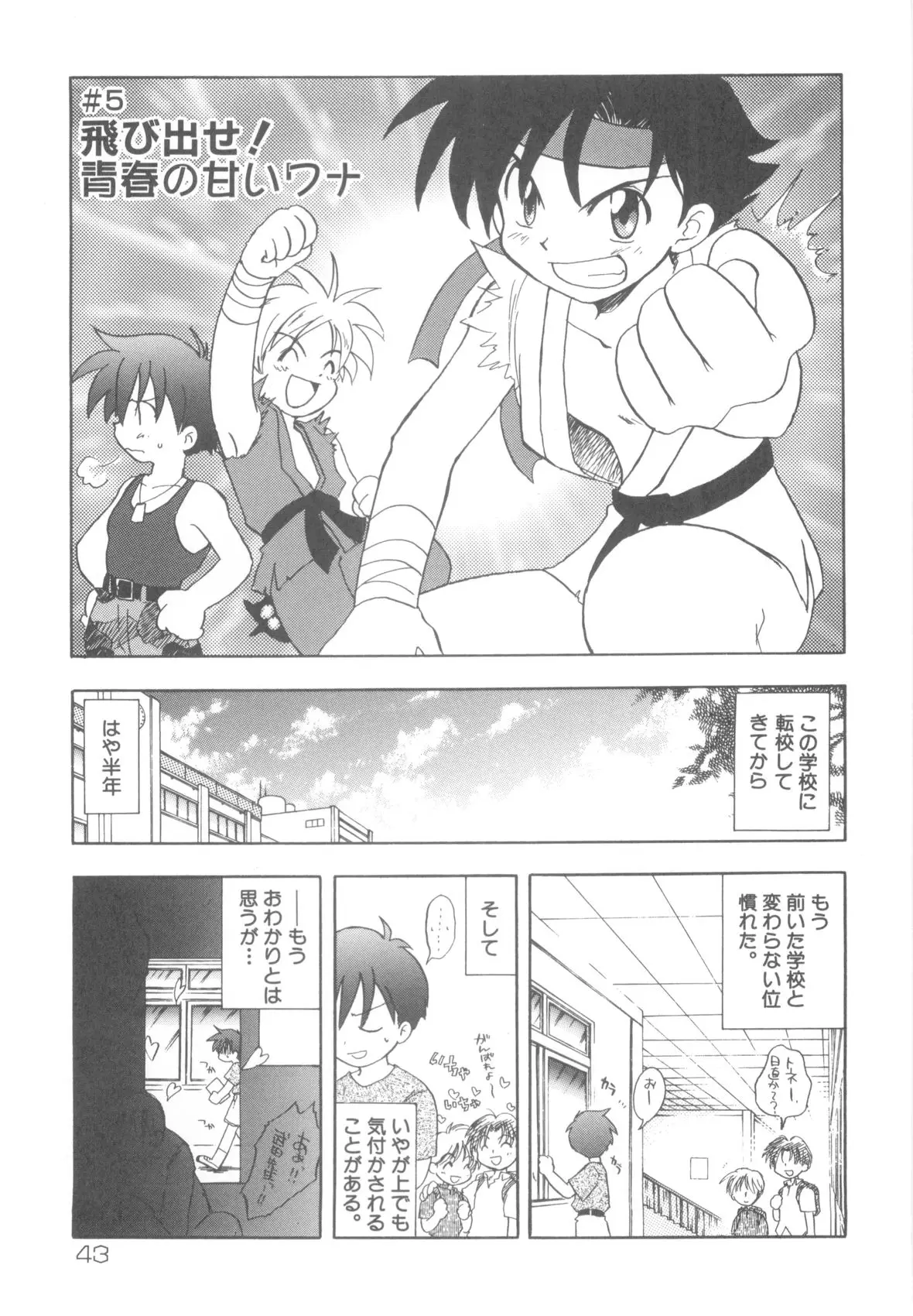 Page 45
