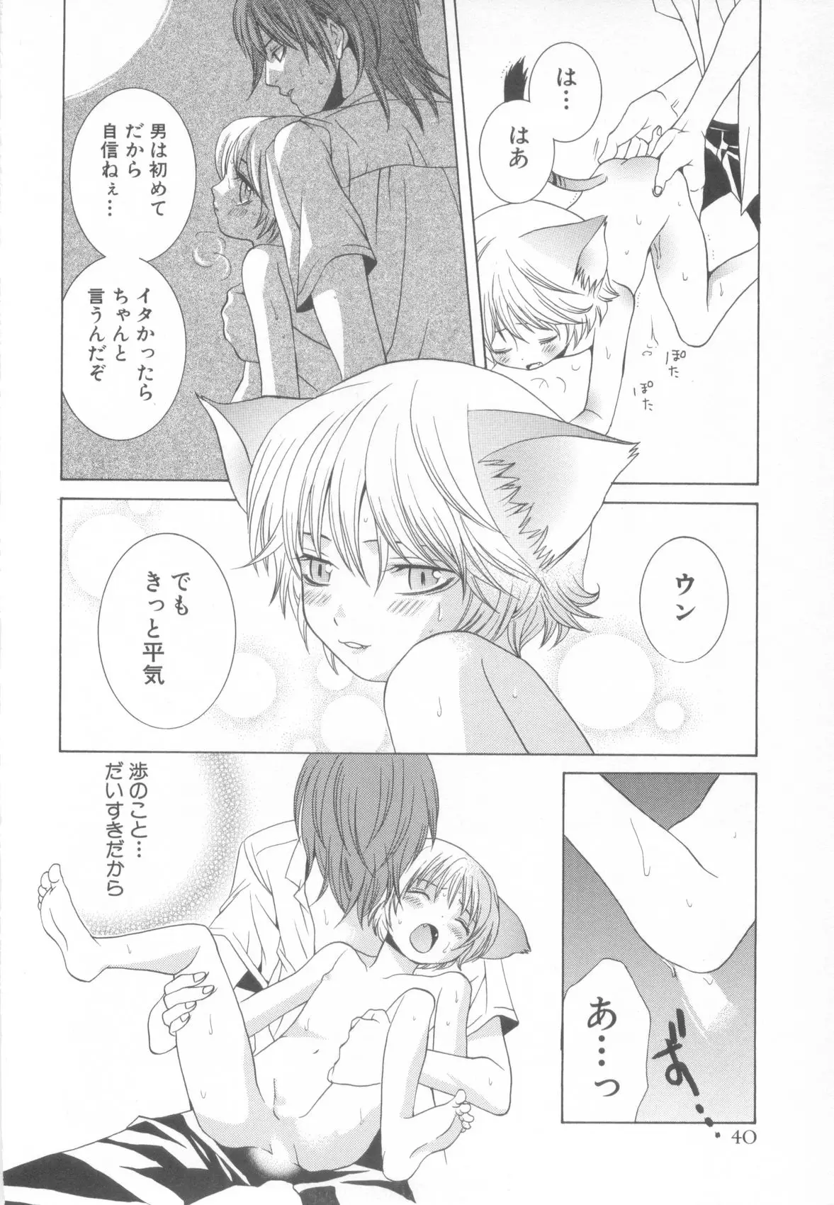 Page 44