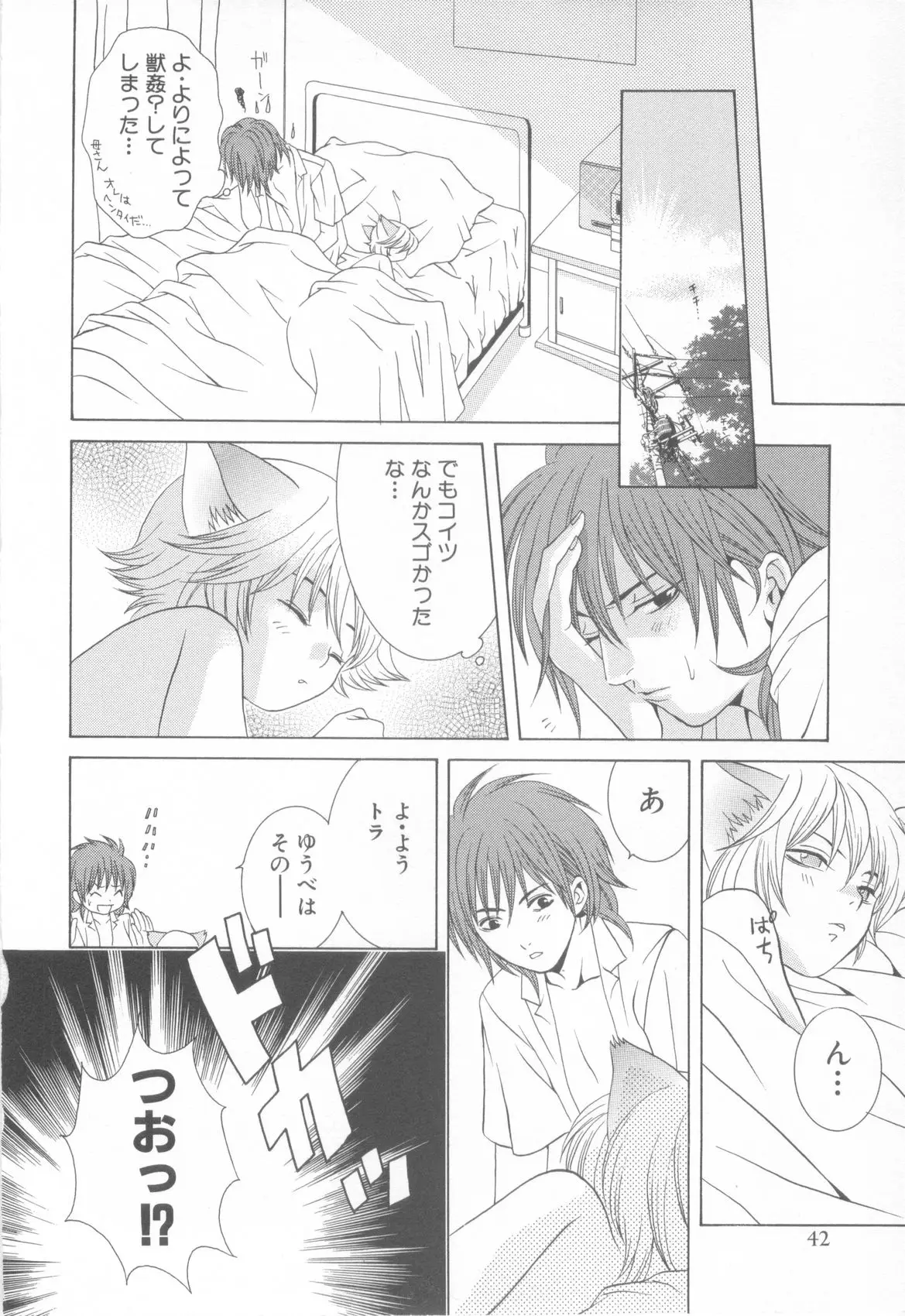 Page 46