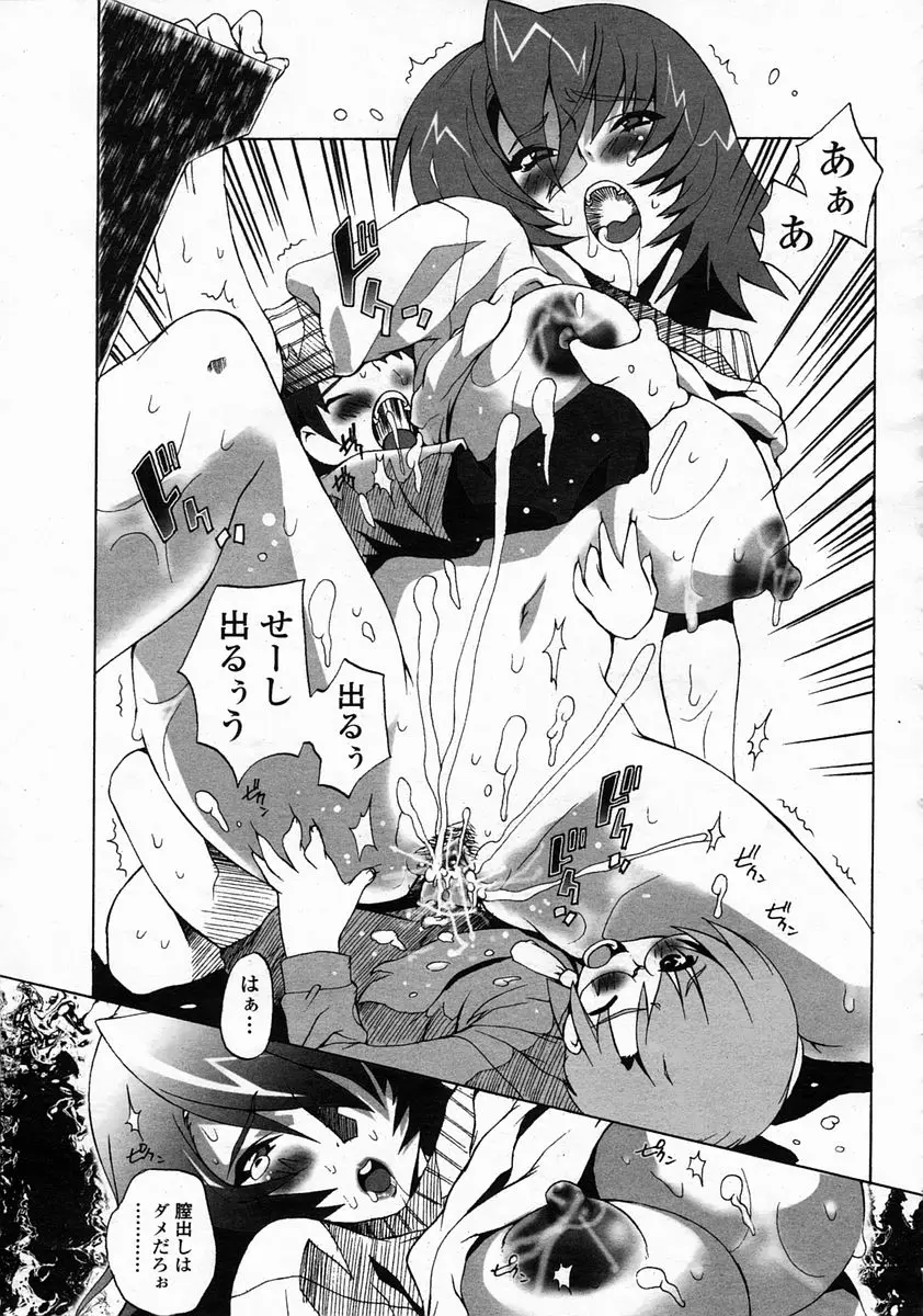 Page 261