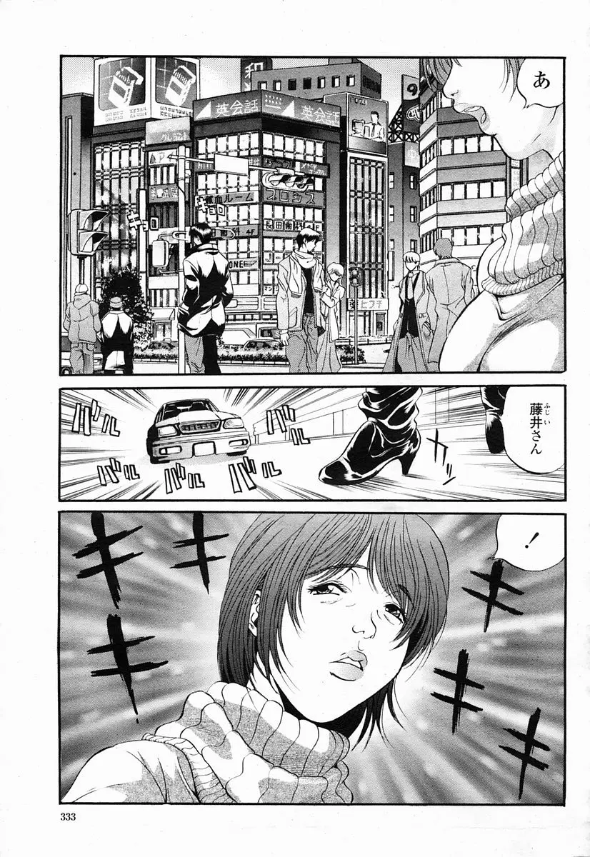 Page 333