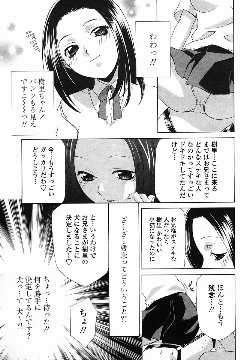 Page 383