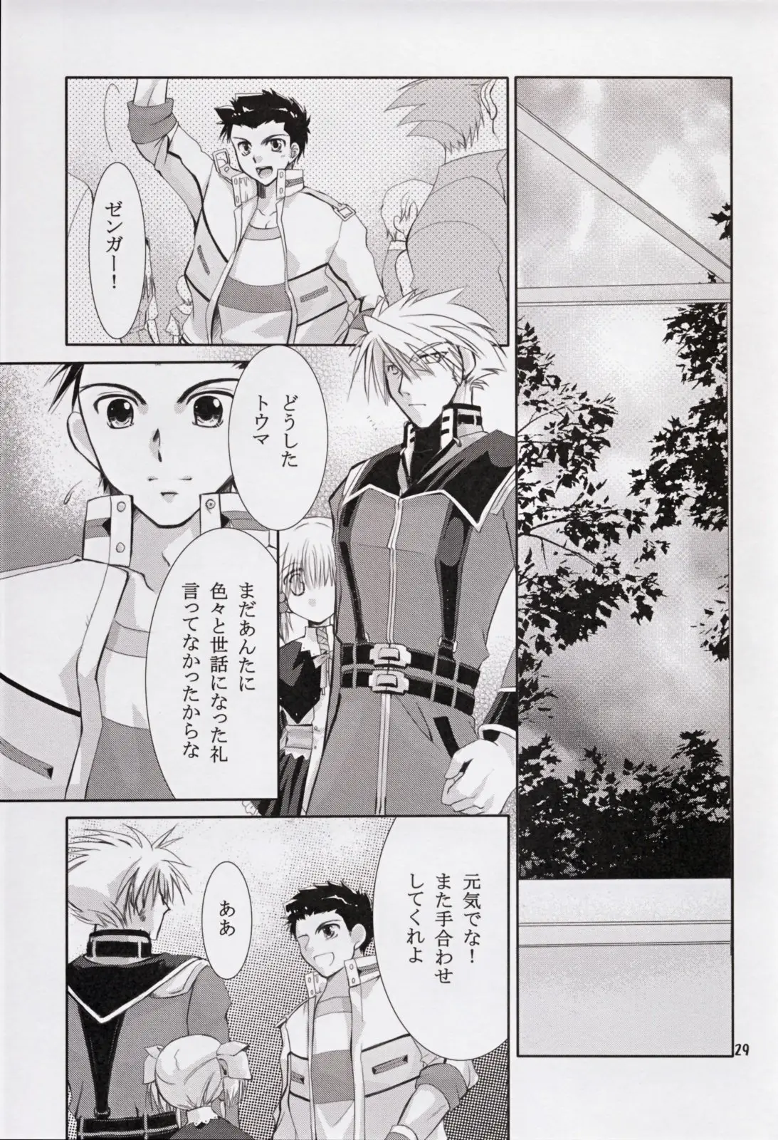 Page 29