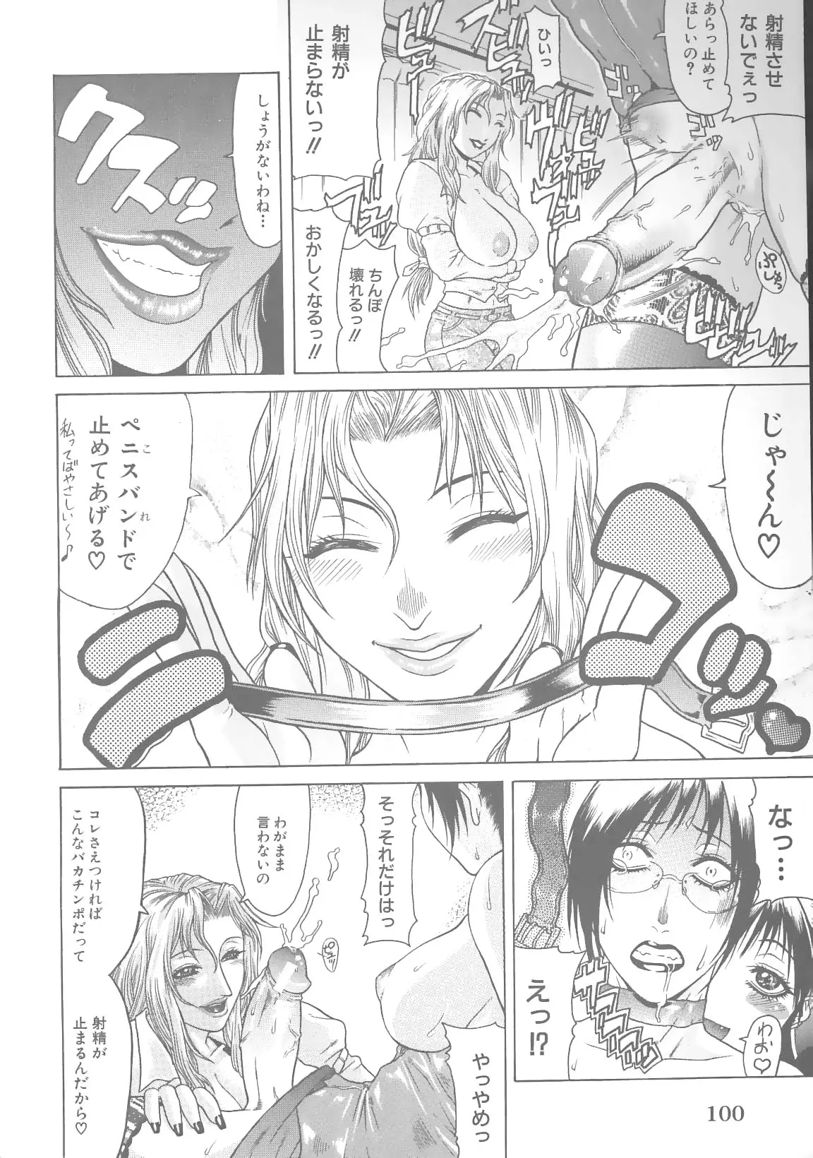 Page 102
