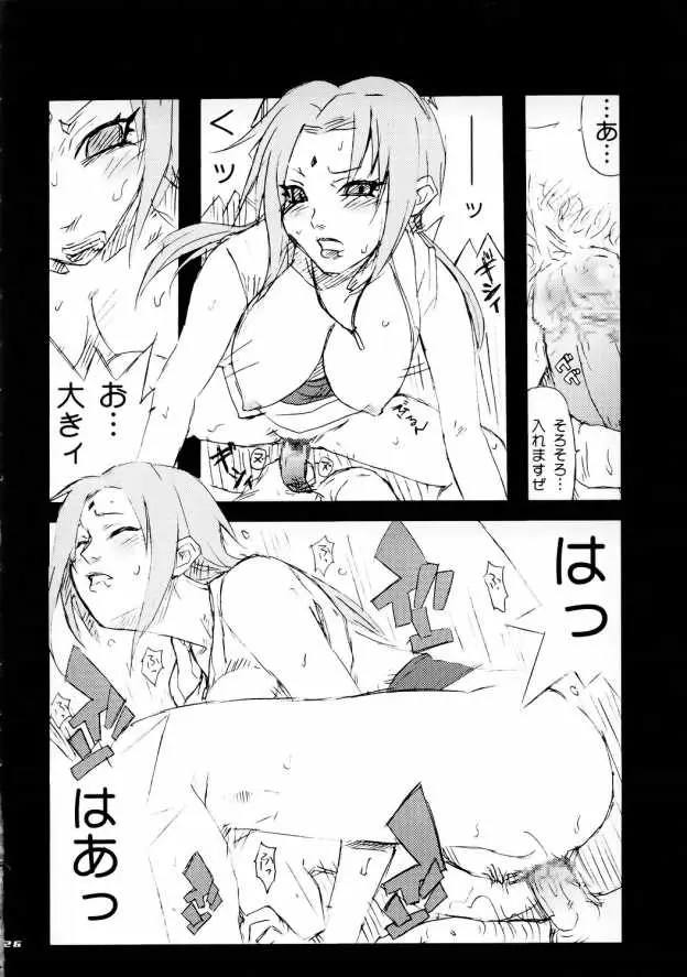 Page 25