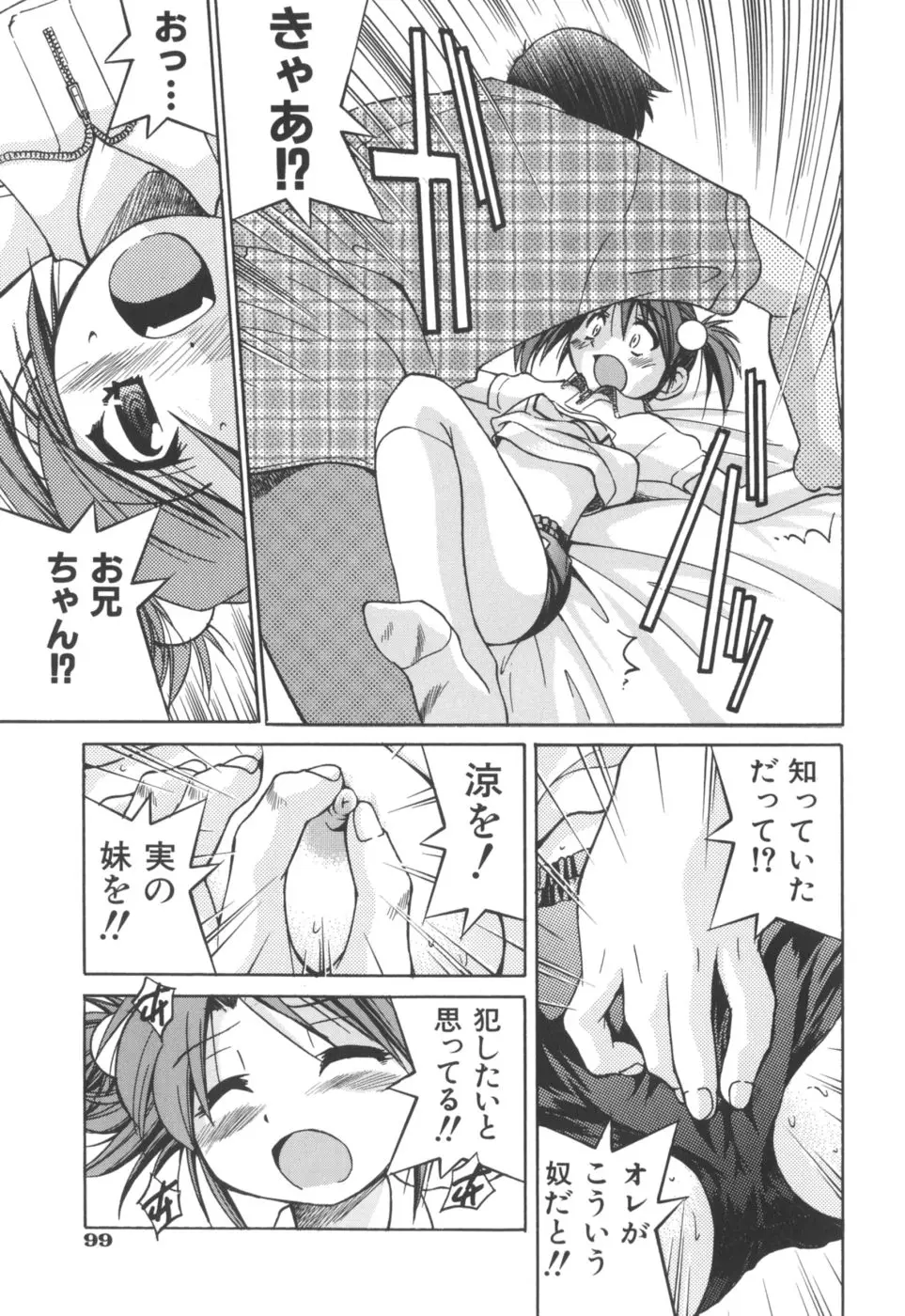 Page 101