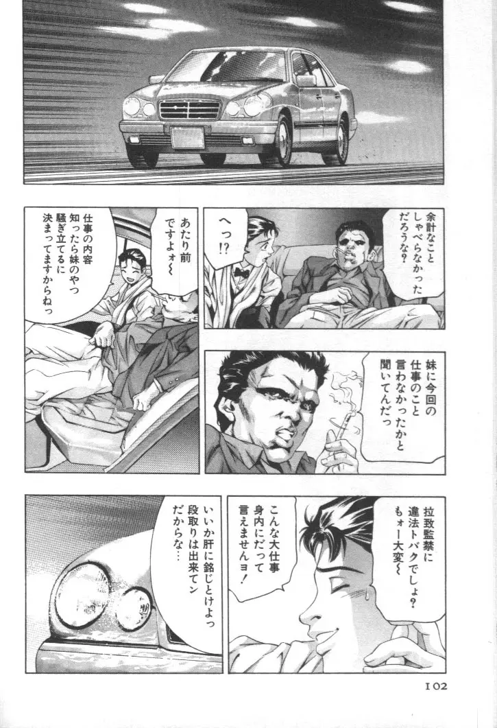 Page 101