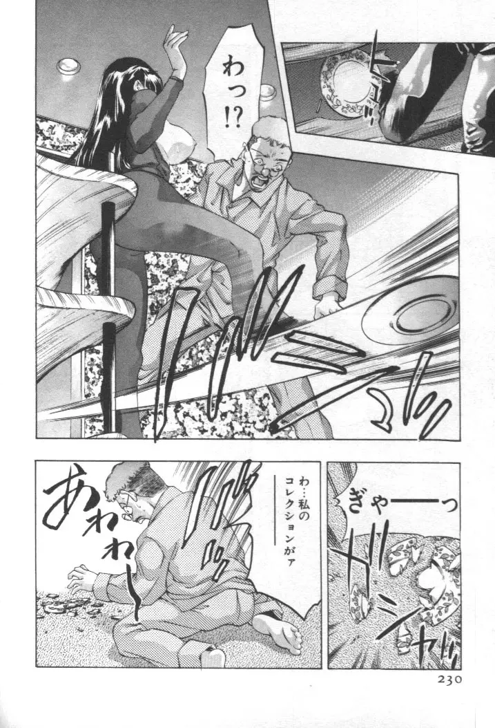 Page 229