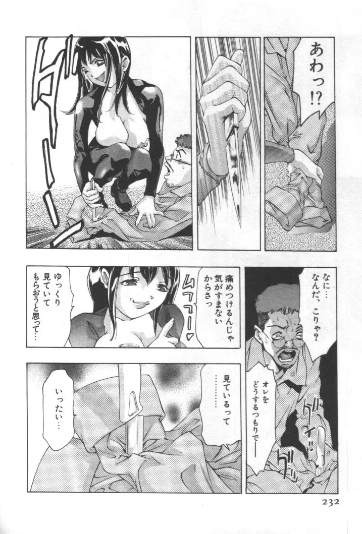 Page 231