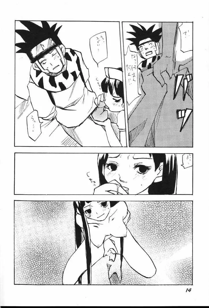 Page 13