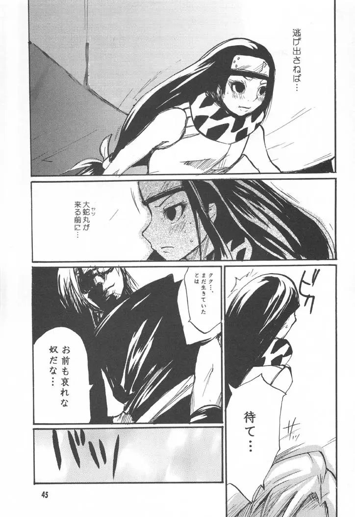 Page 44