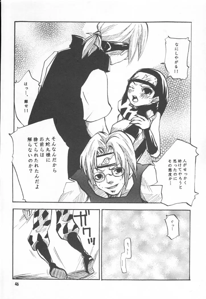Page 45