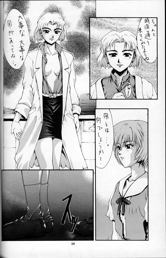 Page 27