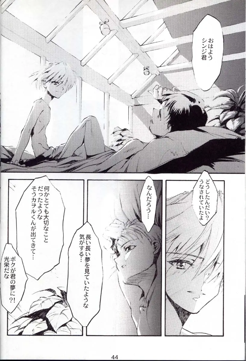 Page 43