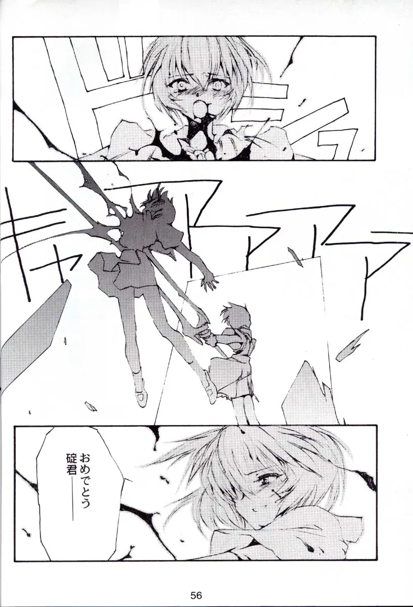 Page 55