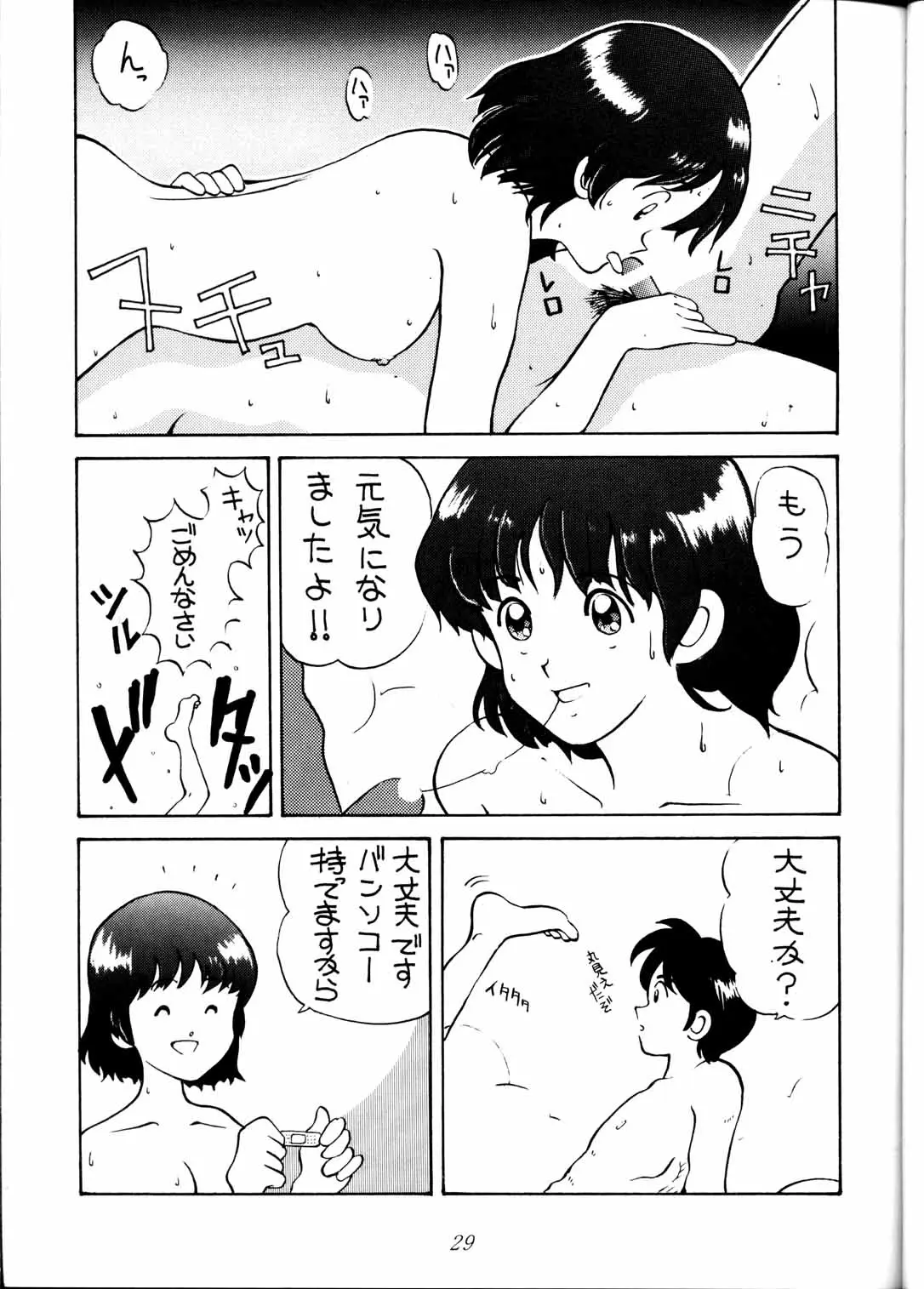Page 29