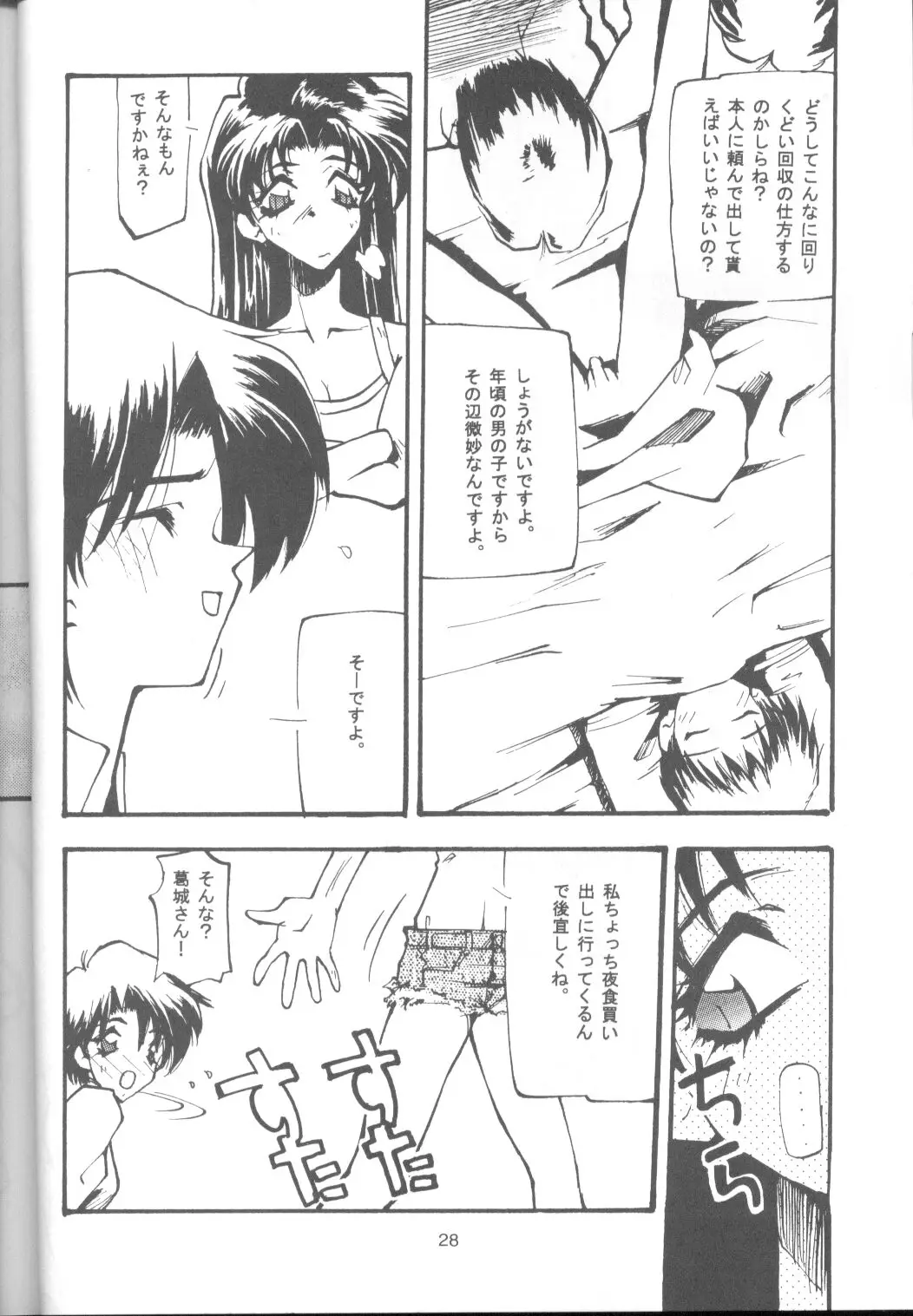 Page 27