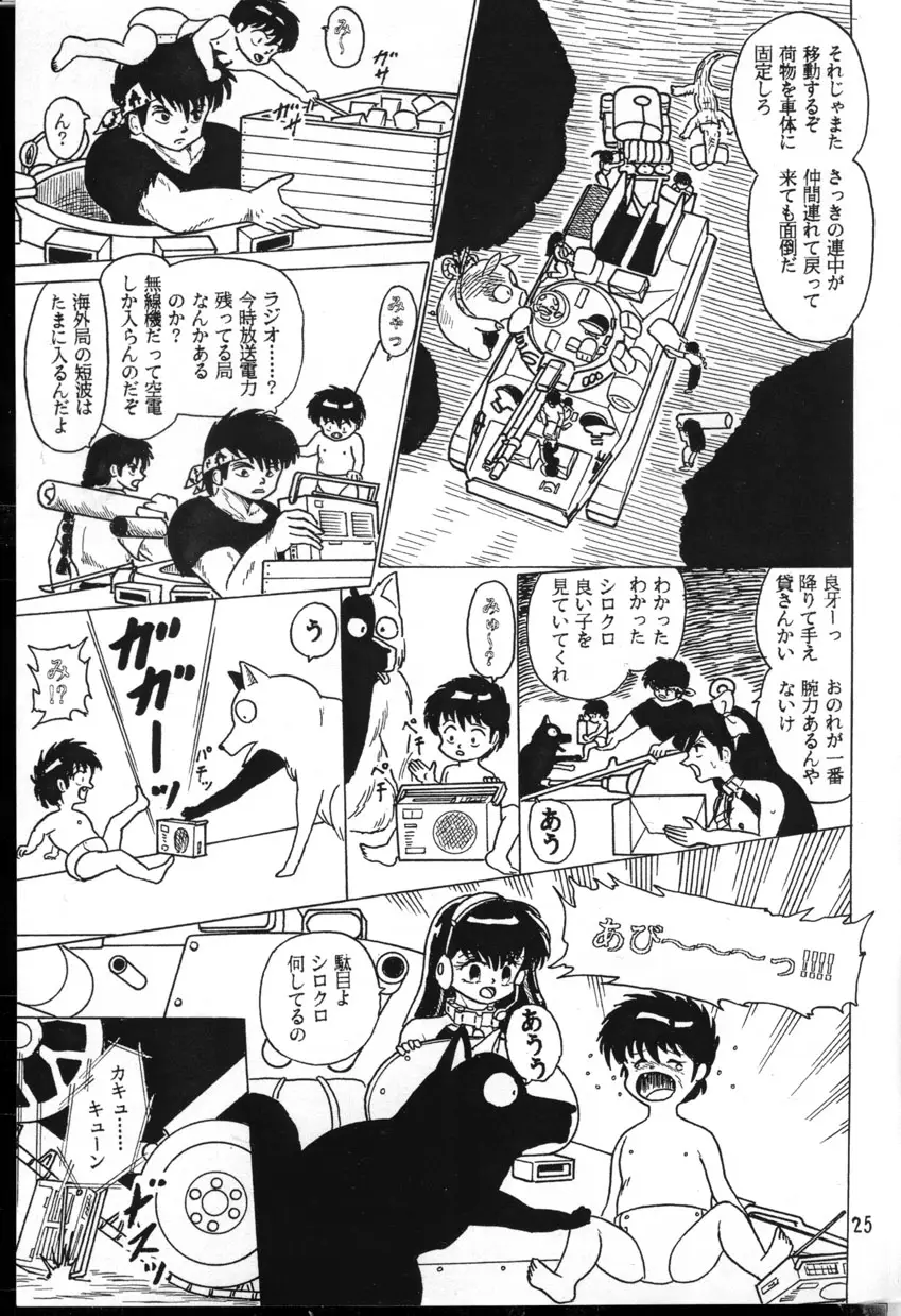 Page 25