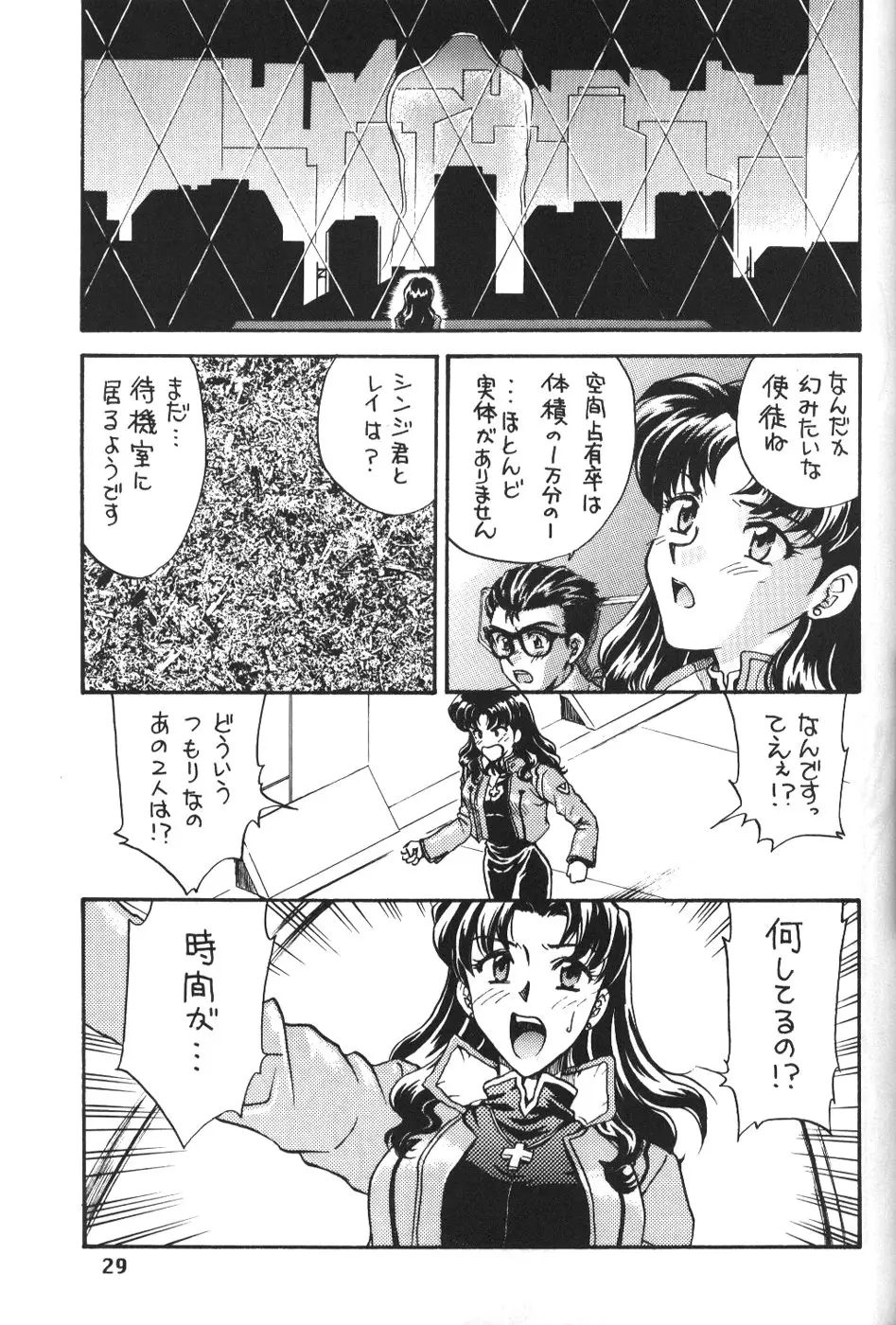 Page 29