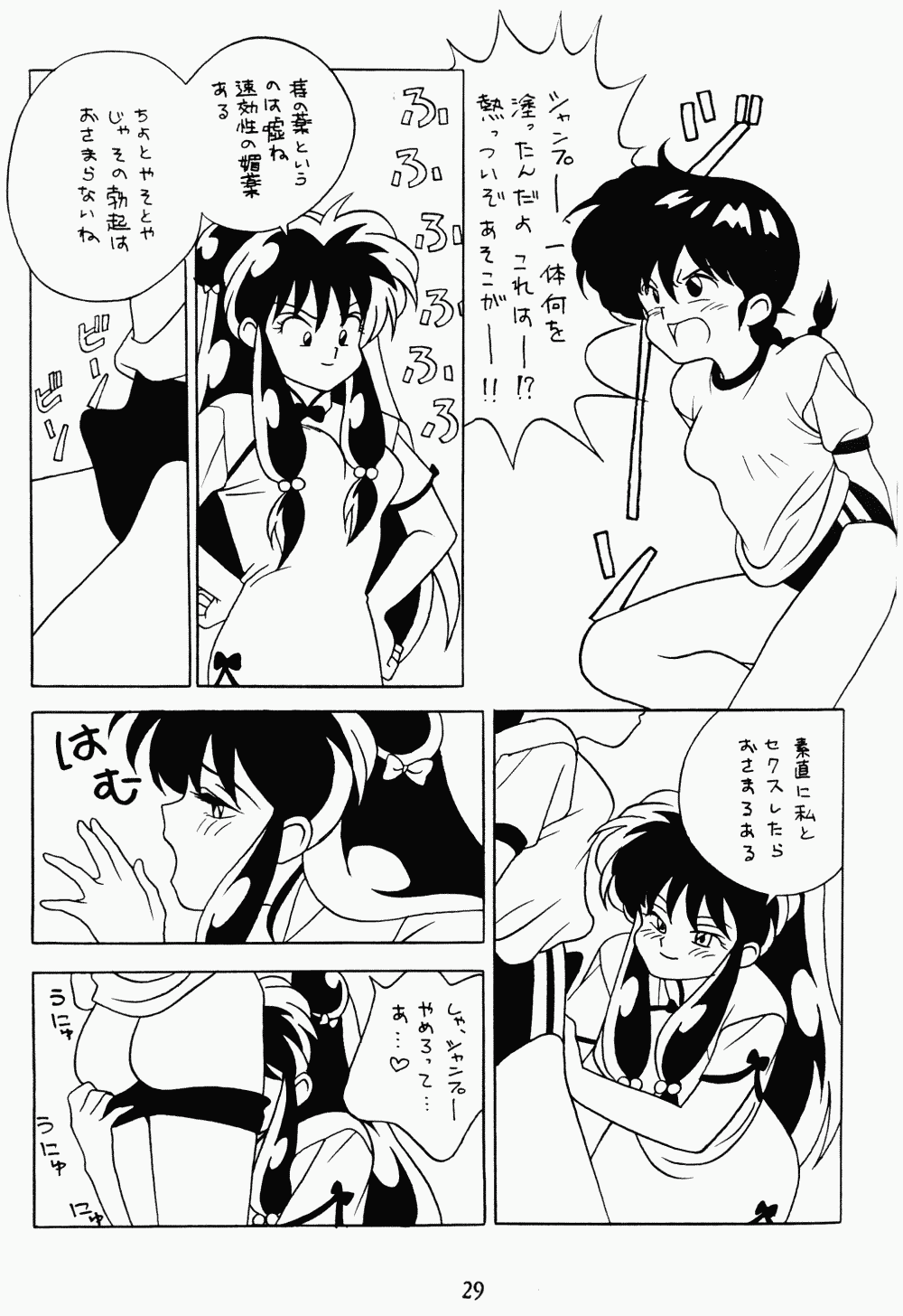 Page 29