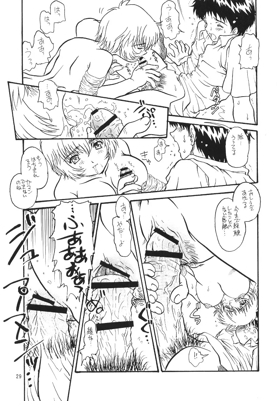 Page 29