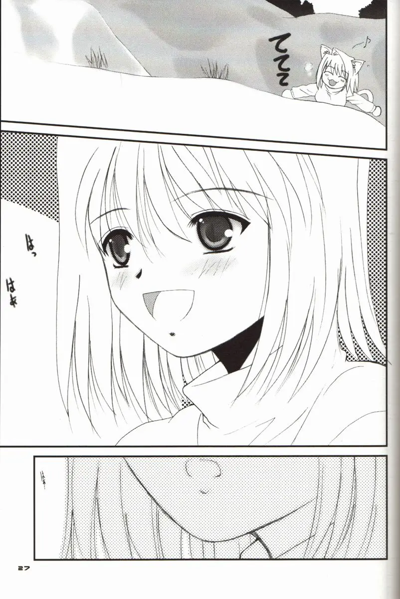 Page 27