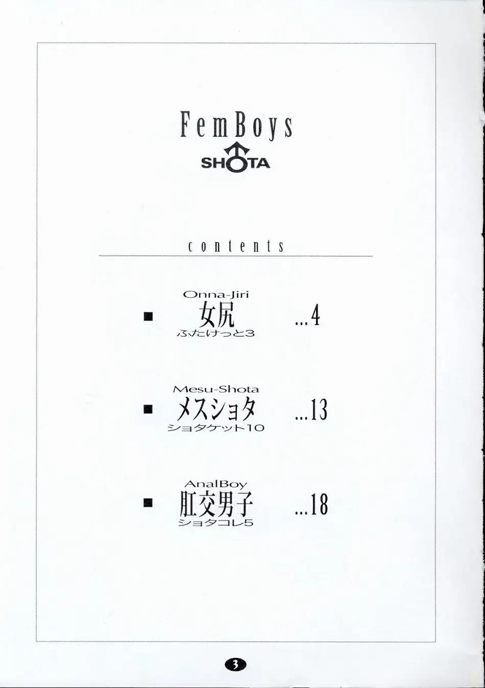Page 3