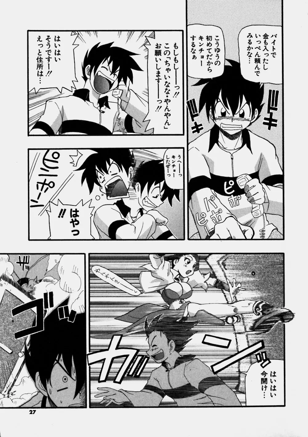 Page 27