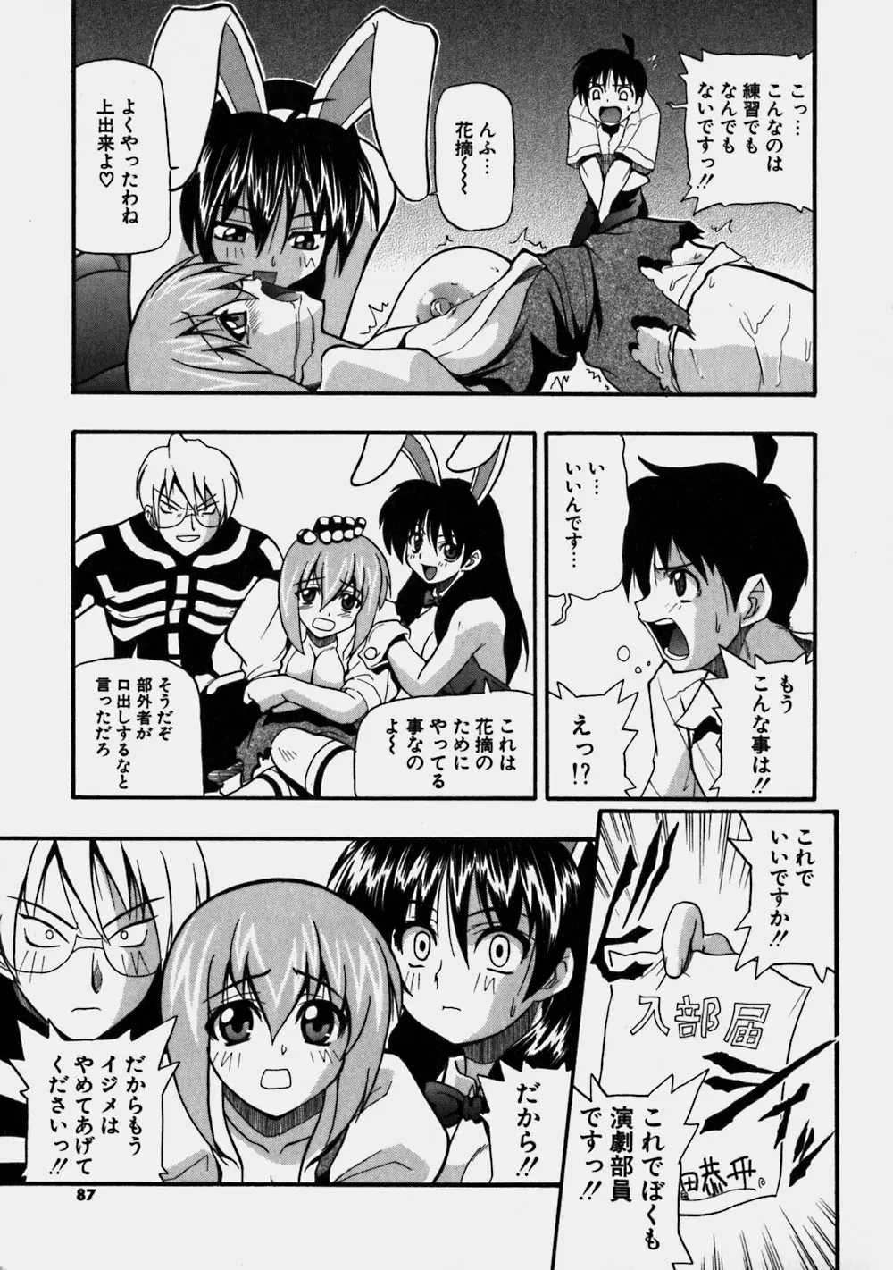 Page 87