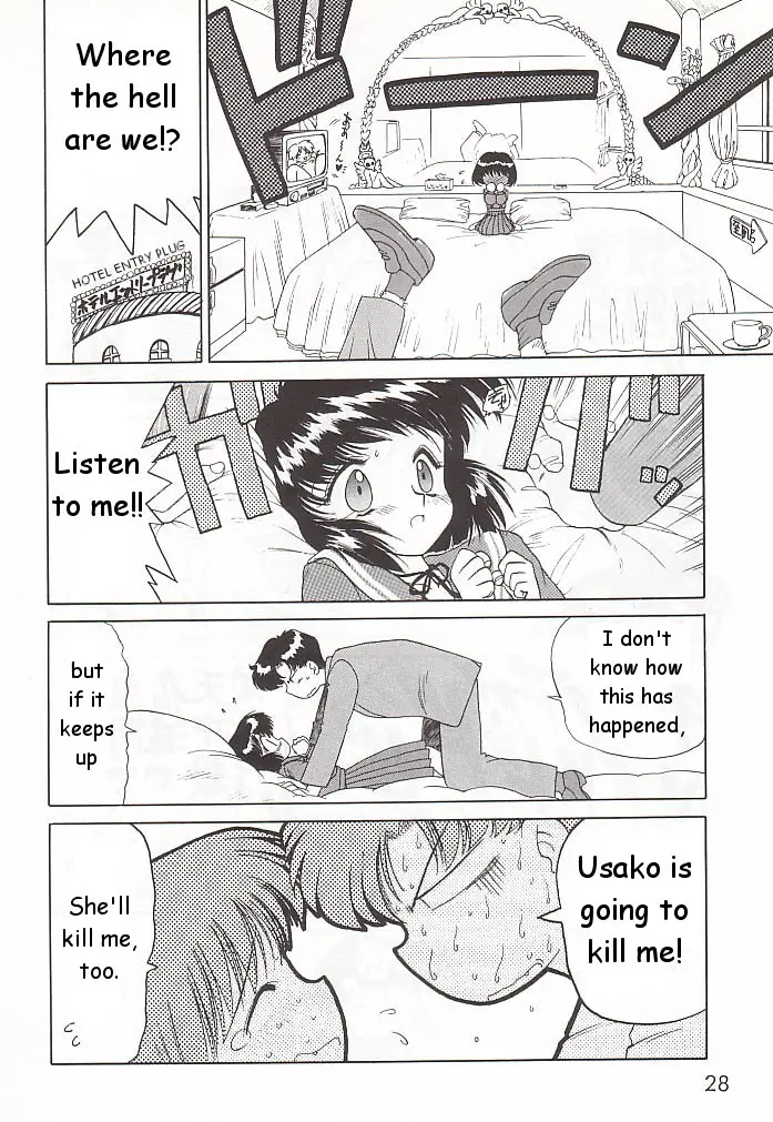 Page 27
