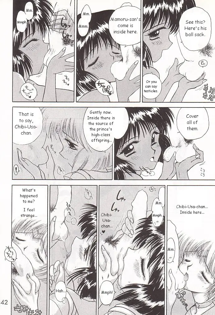 Page 41