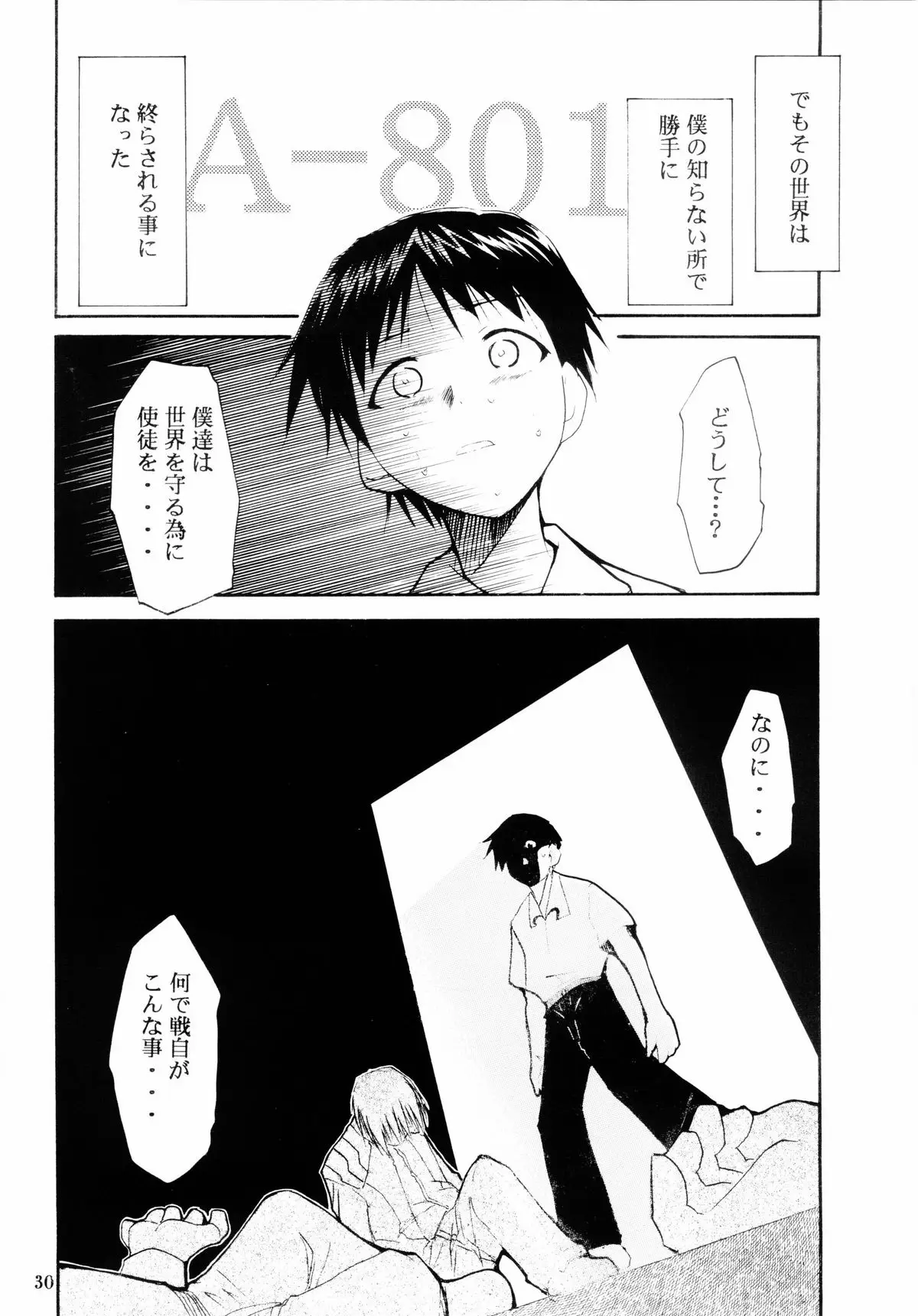 Page 29