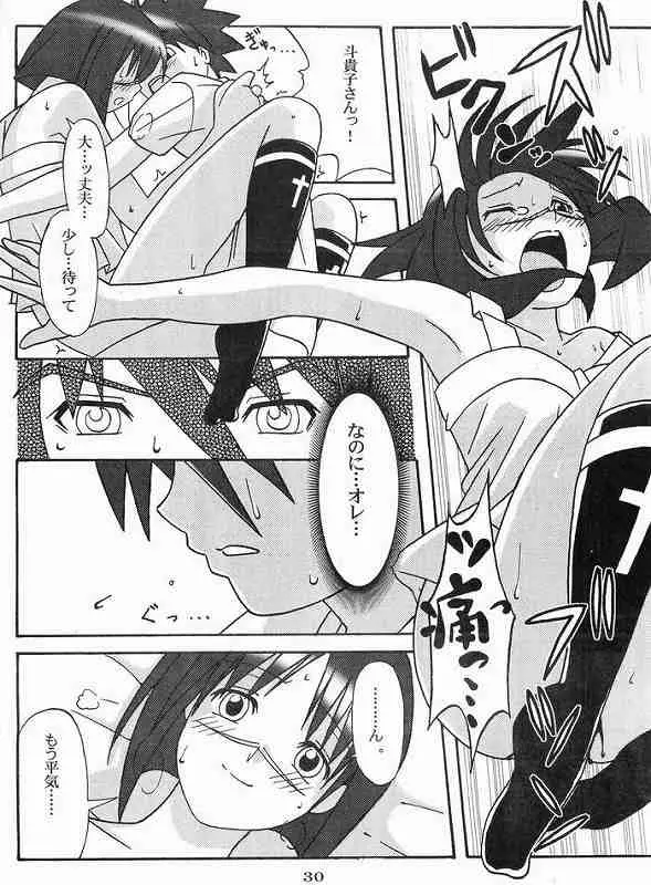 Page 29