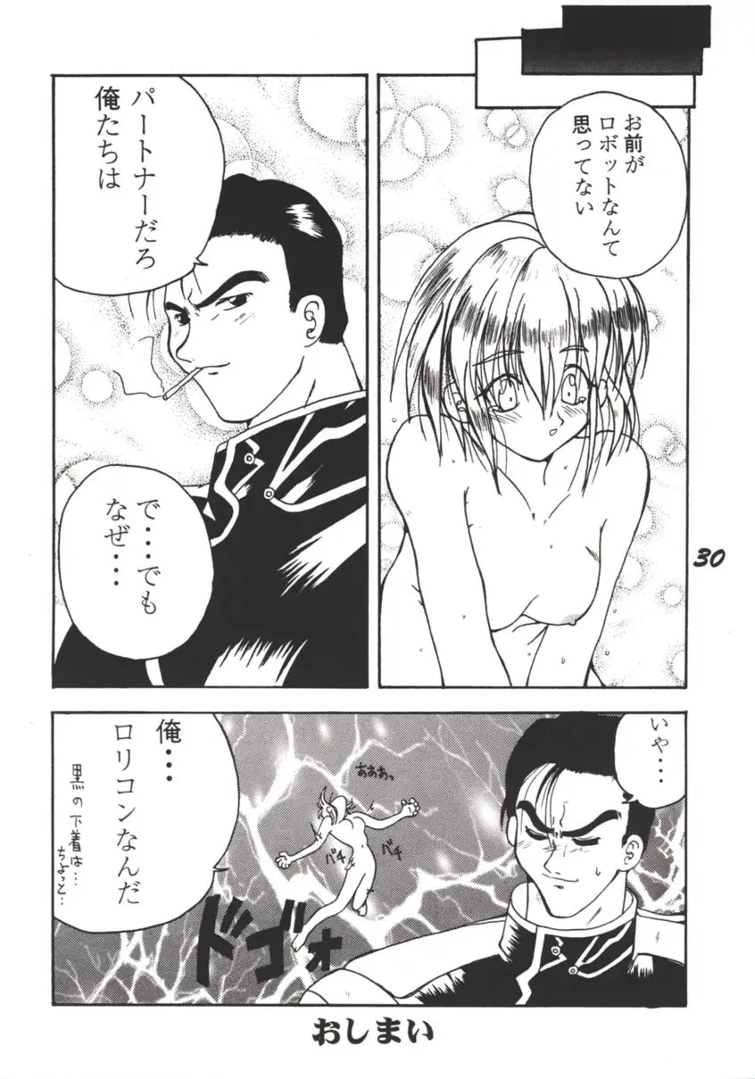 Page 29