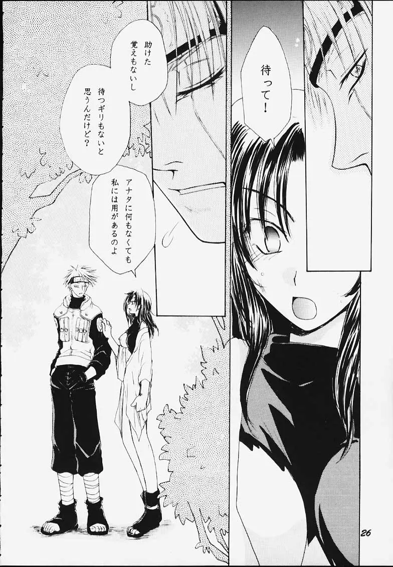 Page 24