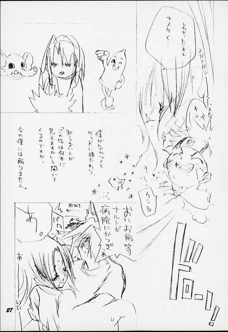 Page 26