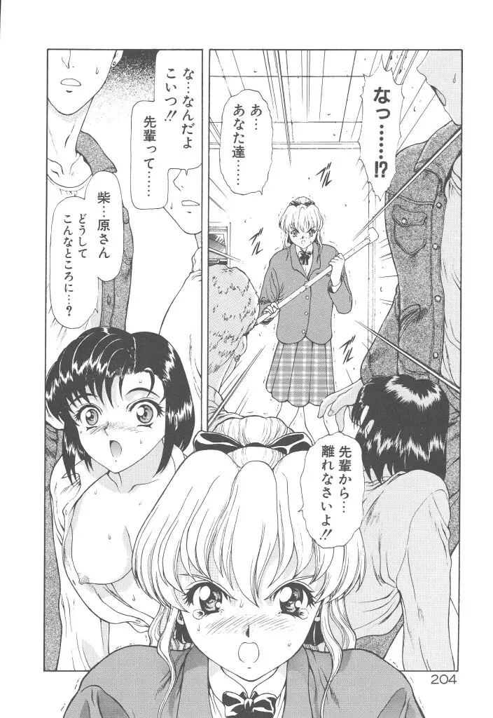 Page 206