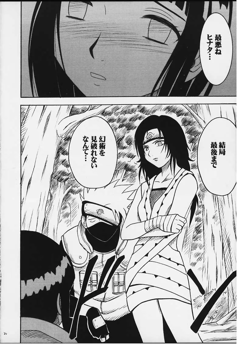 Page 25