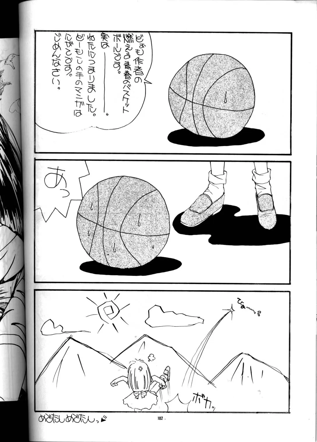 Page 101