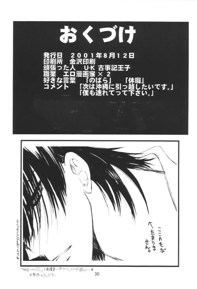 Page 29