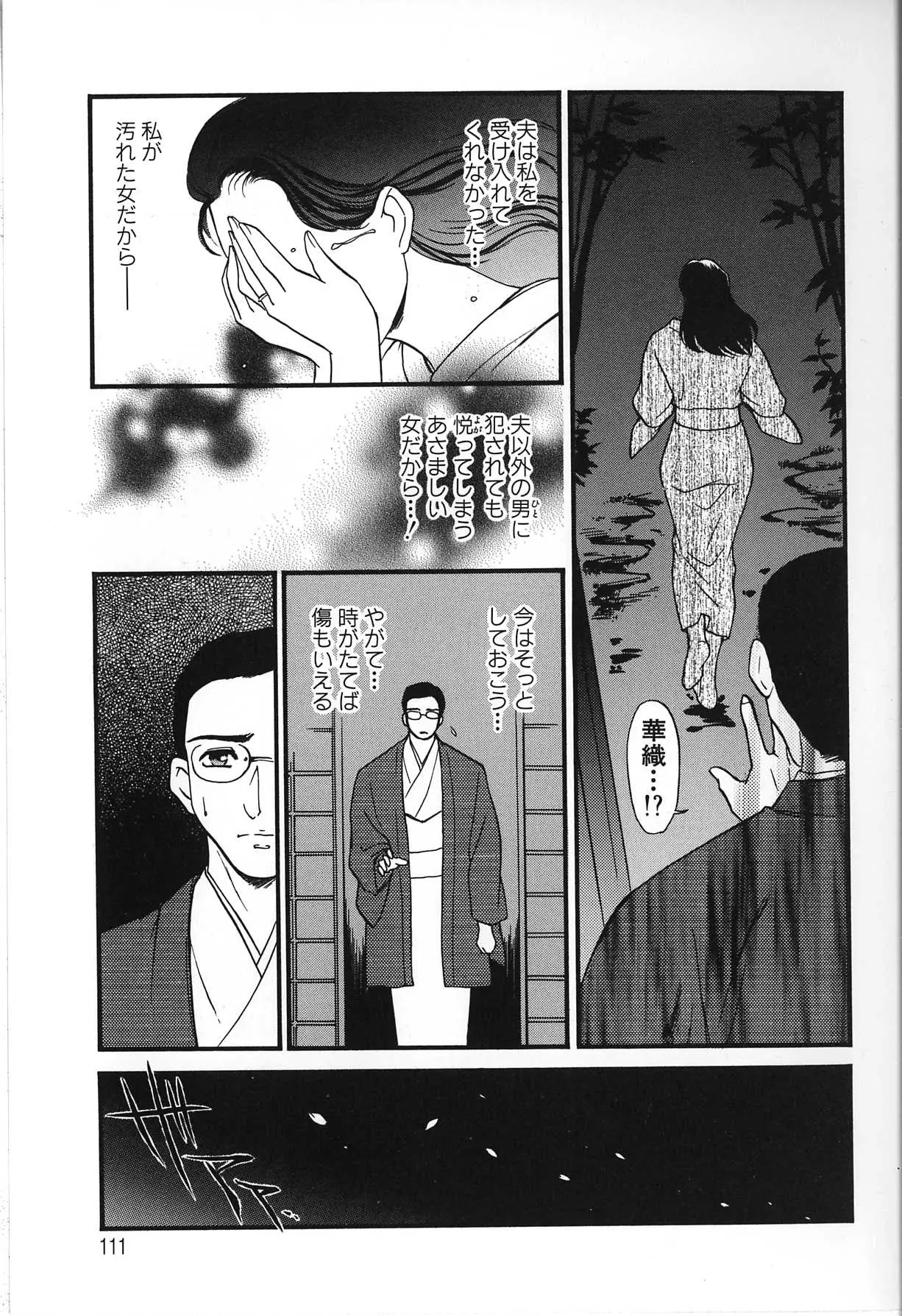 Page 111