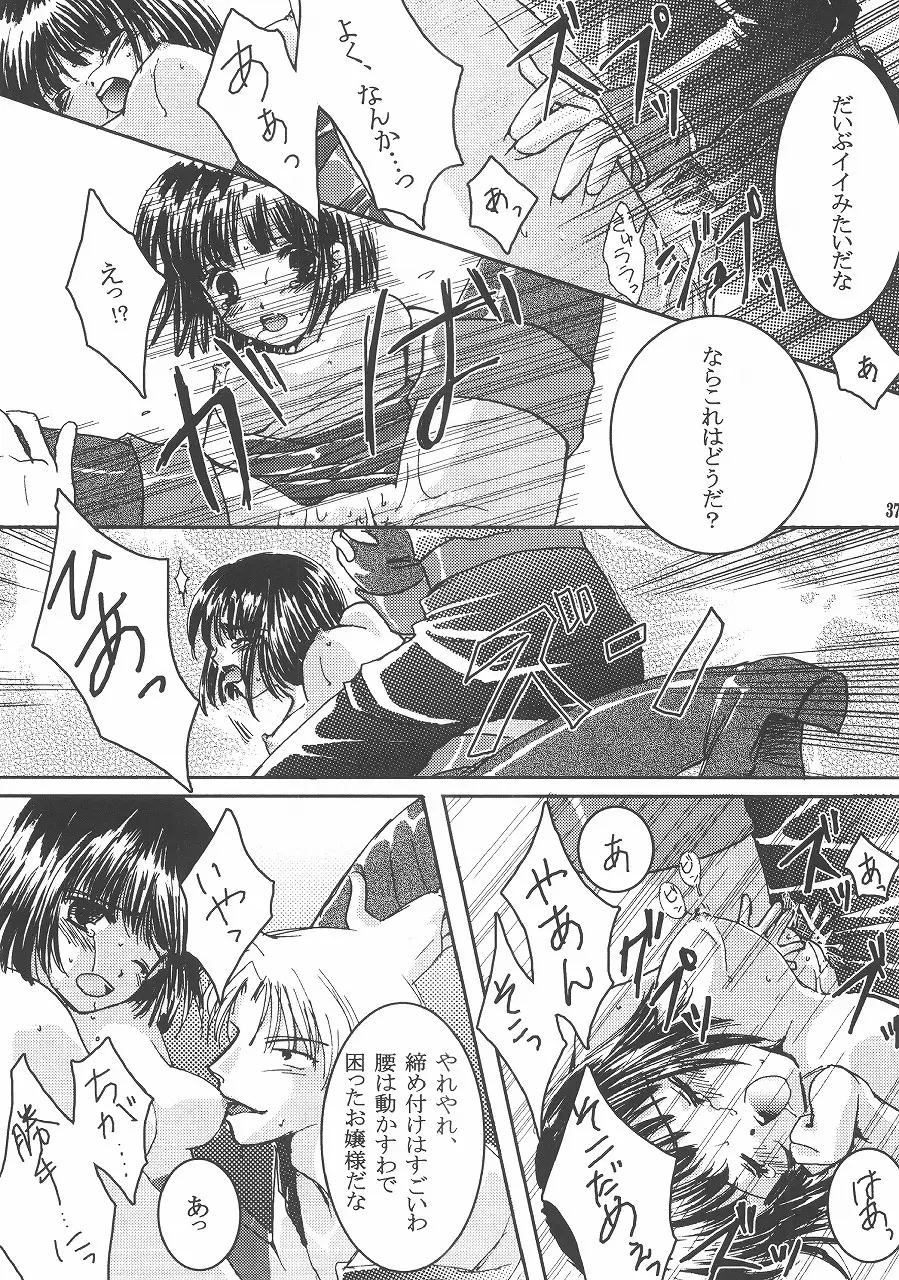 Page 36