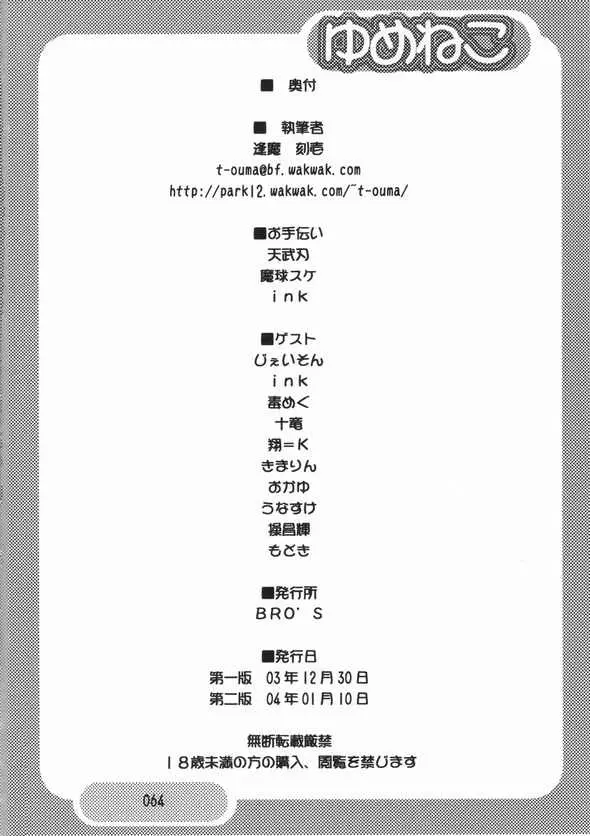 Page 63