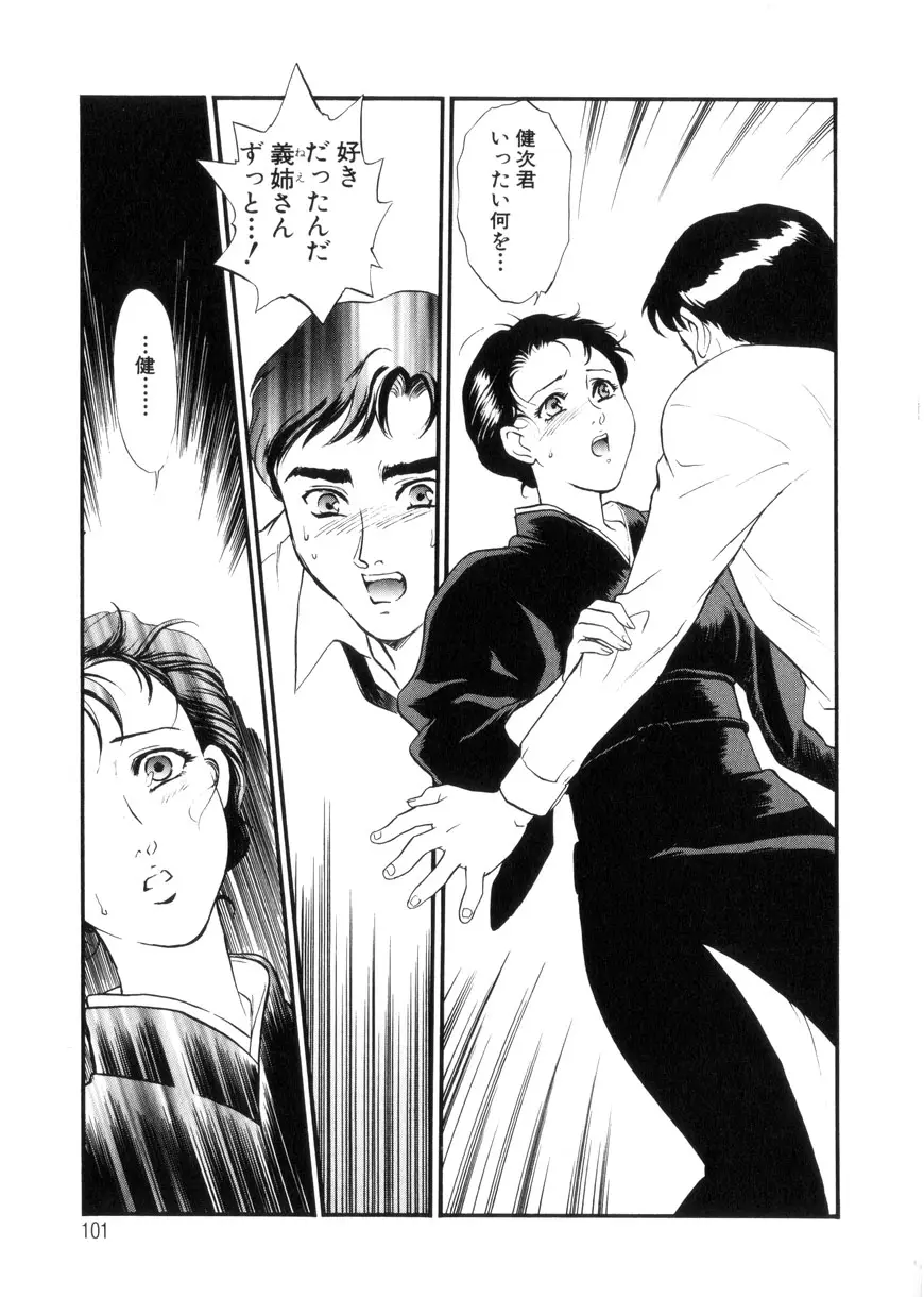 Page 101