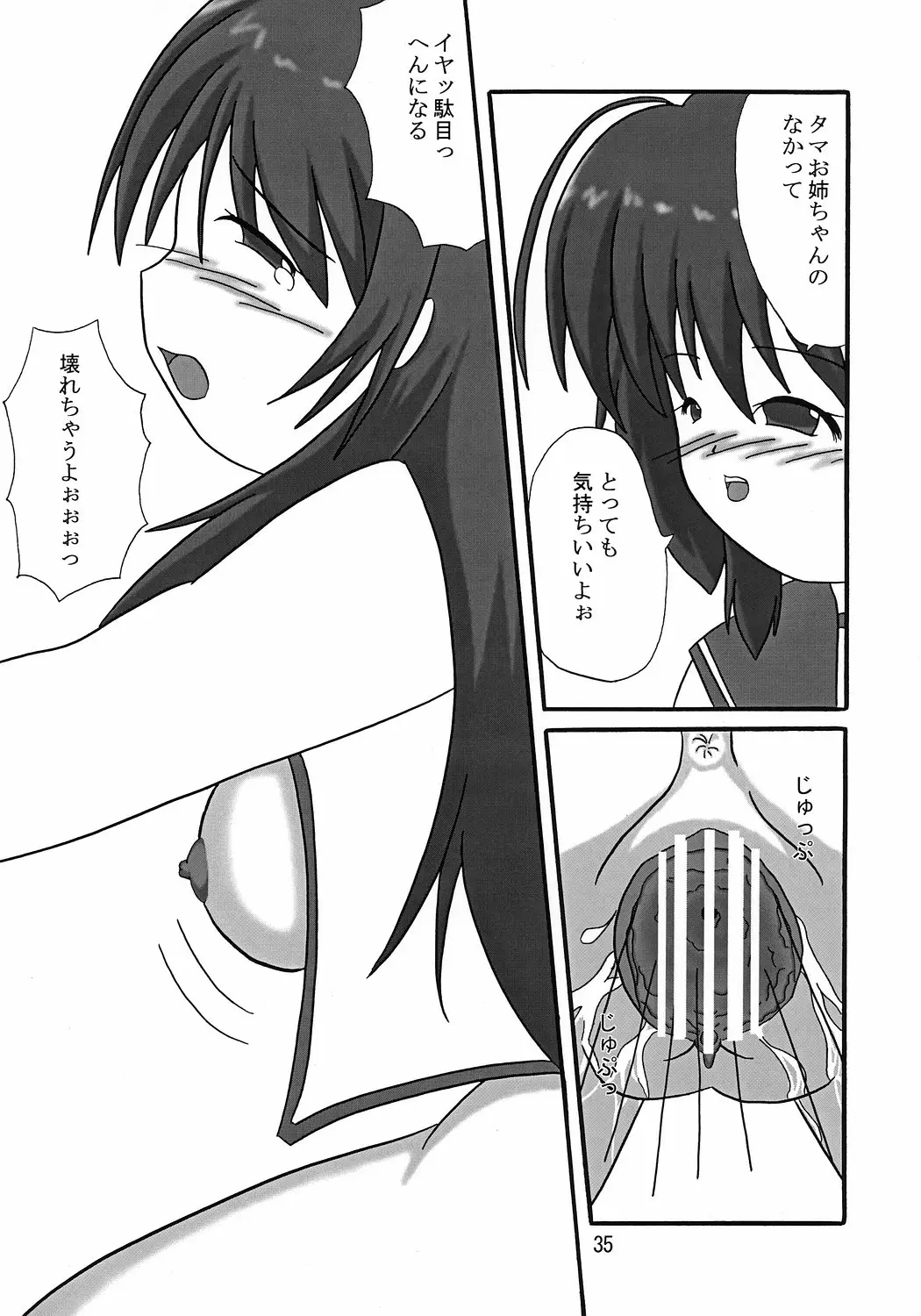 Page 34