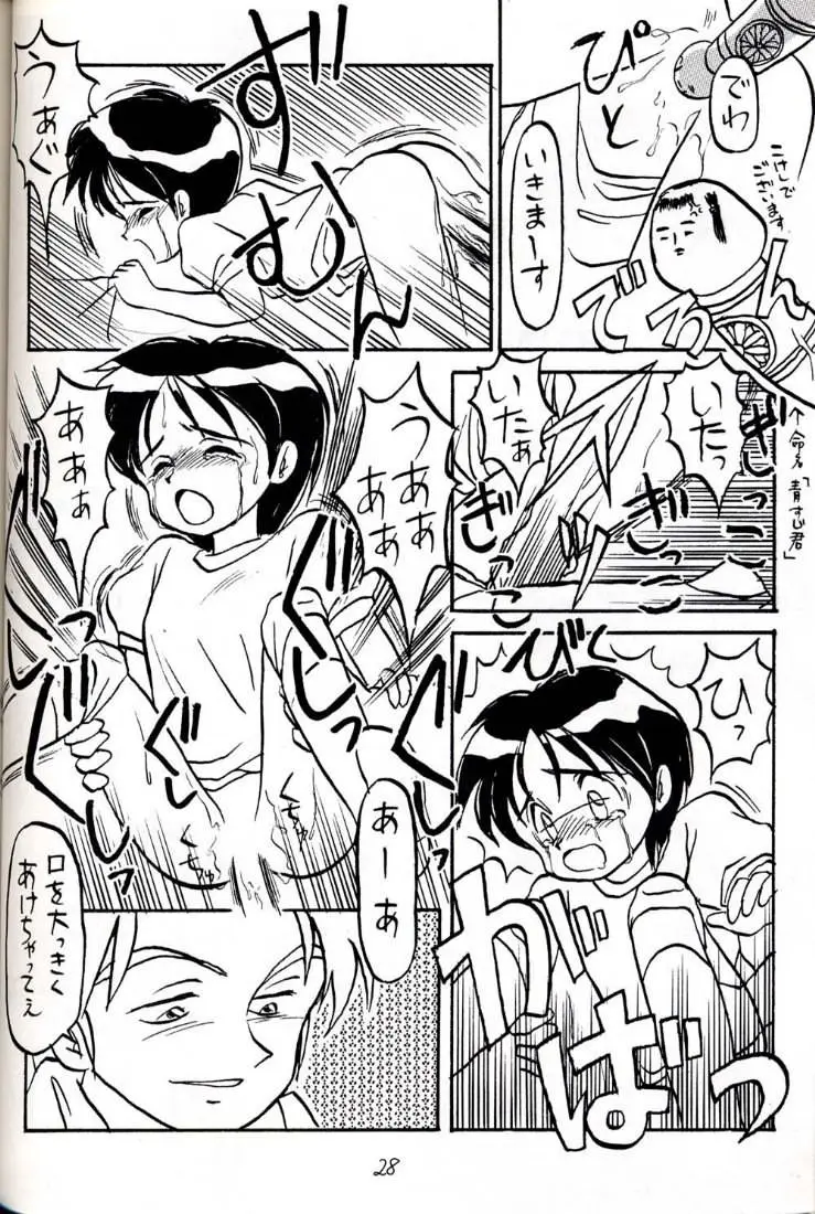 Page 28