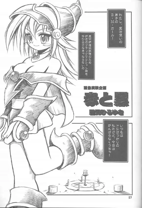Page 26